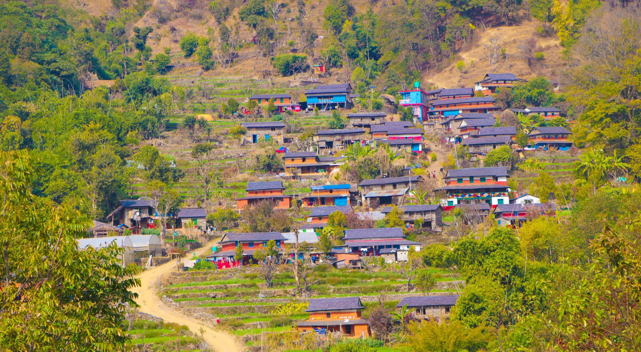 ग्रामीण क्षेत्रमा केन्द्रीय प्रसारण लाइन विस्तार गरिँदै
