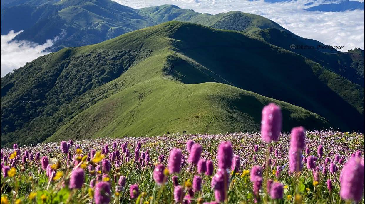पर्यटक पर्खिरहेको चौंरी लेक